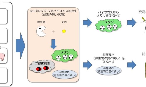 蛋白霜打发不起来