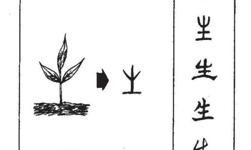 儿童益生菌多少钱一盒价格表及图片-儿童益生菌粉的价格是多少钱网-分享儿童益生菌粉怎么吃，儿童益生菌粉的作用知识库